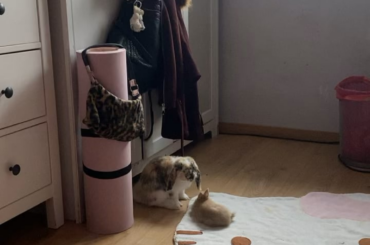 Just my sweet little boys