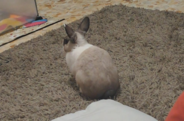 why does she do this with her head? is she okay?