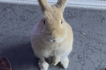 She stood there for like one minute until I started recording