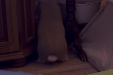 Contemplating his life choices