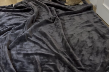 Why does my bunny freak out on this ONE SPECIFIC blanket?!