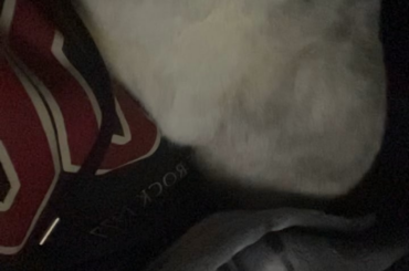 does he actually like this.. lmao