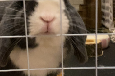 This is what I see right as I’m about to go to bed…