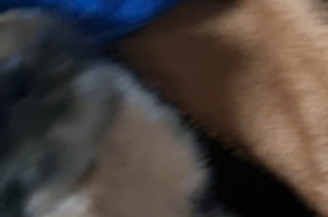 New rabbit owner, is this good or bad?