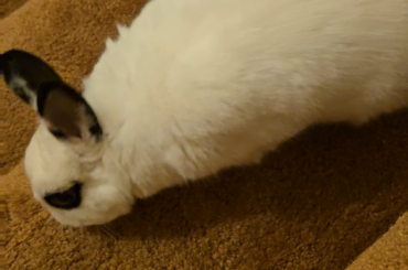 What does this meannn?? 😭