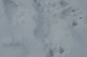 Disaster averted, for the void floof has been appeased with food.