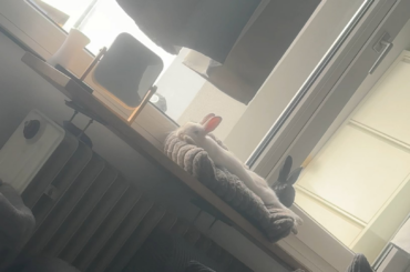 favorite spot in the house