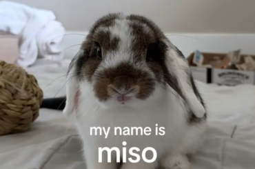What’s your bun’s names and what do you actually call them?