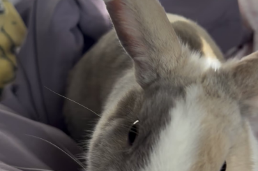 Why does she do this?