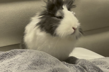 Concerned bunmum question