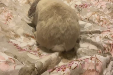 Such a hard working lady 🫶🏼