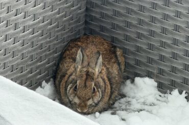 Is this poor guy ok?