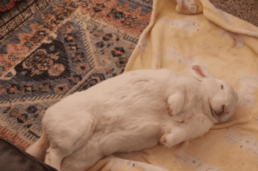 Anniversary of her best DBF