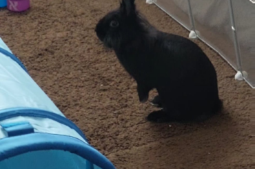 Is everything okay there? Should I turn her off and on again?