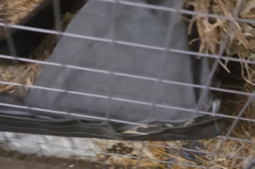 On time out while I clean their bedroom and... well... second child behavior vs first child behavior.