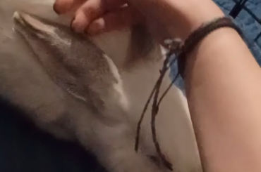 Is this normal? Have I been chosen?