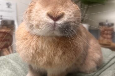 .. 🥹 I feel hopeful..