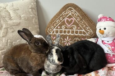 It’s beginning to look a lot like Christmas 😜🎄✨