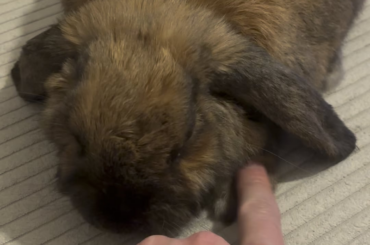 She let me touch her paws😍