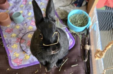 Got a little something on his face..