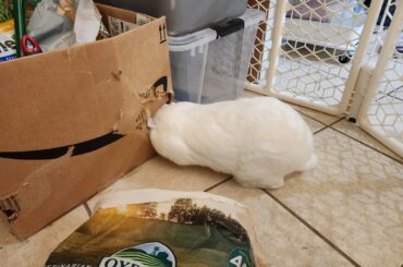 Yes she made that hole all by herself