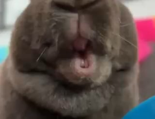 I hope this brightens your day
