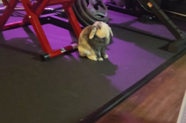 My bun goes into zone out trances?