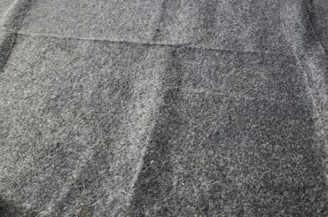 Baby Rabbit seems spooked, is not flopping today even after comforting