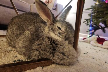 Happy Saturday from Miss Maggie and me 🥰