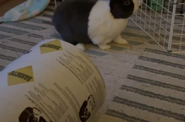 Binky ASMR