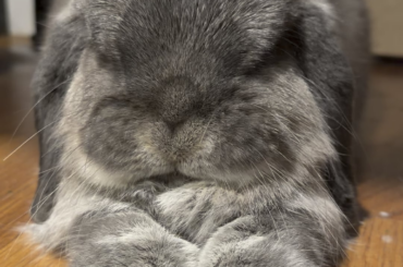 Sleepy Chatters 🥹🥰