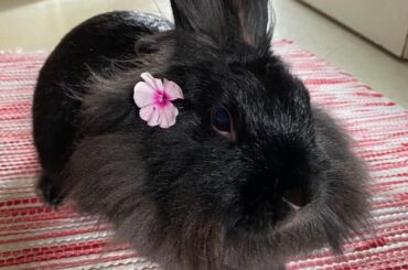 happy birthday to my baby