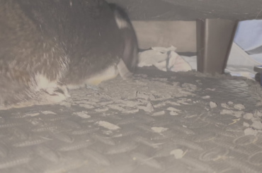 Haven’t looked in a while