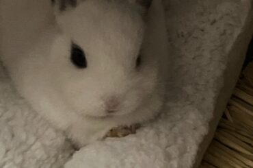 want to give an update on the baby!