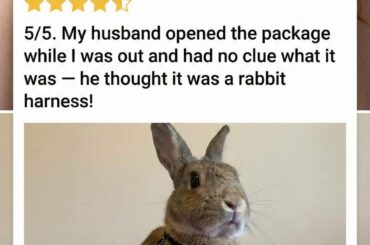 Saw this in FB and it made me laugh