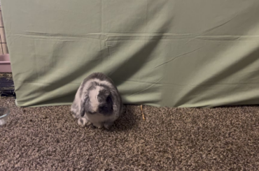 Martha is feeling tired after eating her lunch.