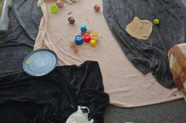 Synchronised death naps