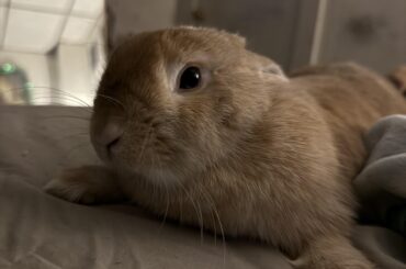 No reason for her to be doing all this