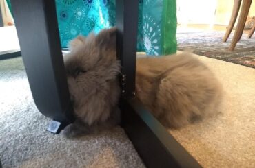 One hour, two bewildering positions.
