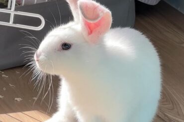 Pls help before I crash out