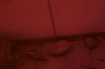 Blueberry is home and neutered