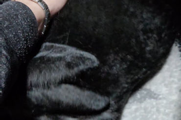 I love it so much when she does this.