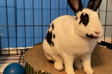 Christmas gift ideas