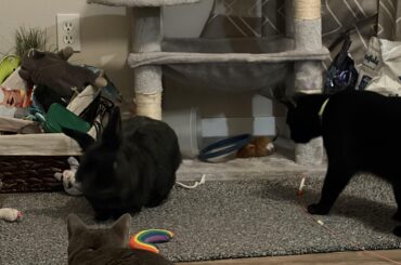 Mr Donnie met Sadi and Felix today