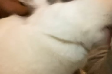 Miss bug giving kisses