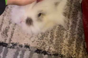 Some cuteness for you