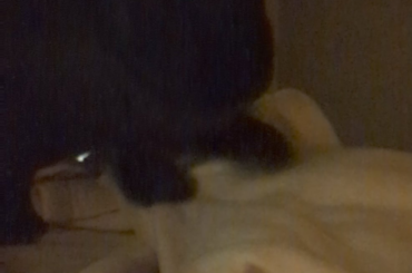 Why did you put a blanket in my house?