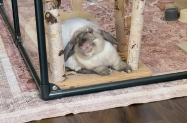 no thoughts only bite bite bite