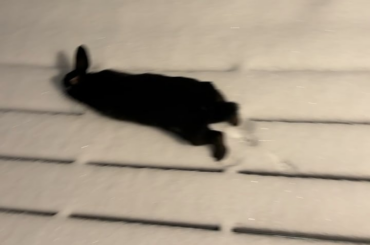 First snow