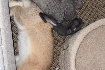 Are they officially bonded now??